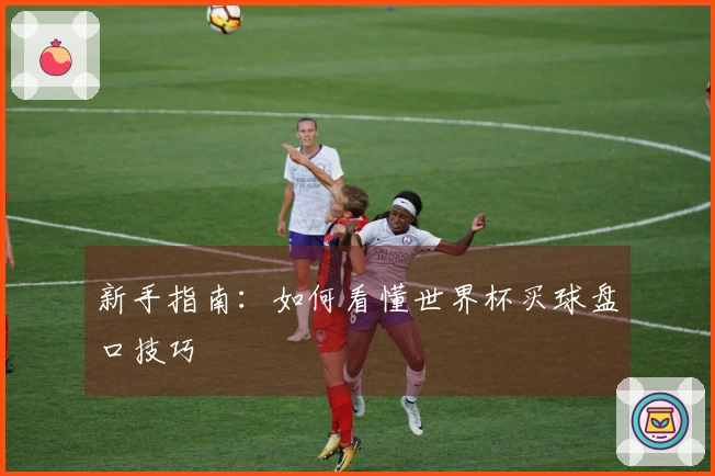 新手指南：如何看懂世界杯买球盘口技巧