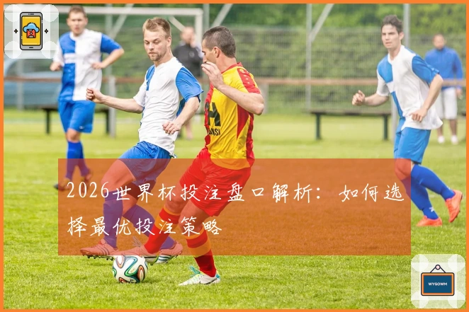 2026世界杯投注盘口解析：如何选择最优投注策略