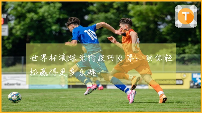 世界杯滚球竞猜技巧分享，助你轻松赢得更多乐趣