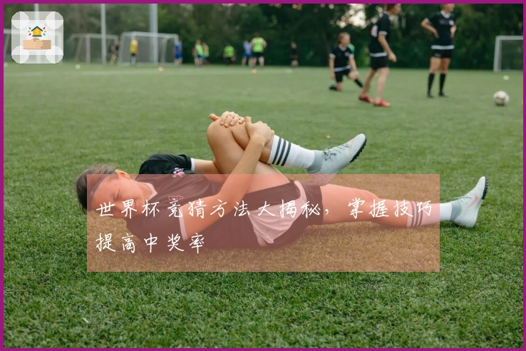世界杯竞猜方法大揭秘，掌握技巧提高中奖率