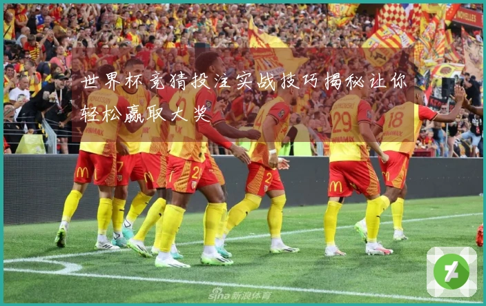 世界杯竞猜投注实战技巧揭秘让你轻松赢取大奖