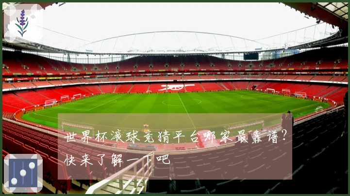 世界杯滚球竞猜平台哪家最靠谱？快来了解一下吧