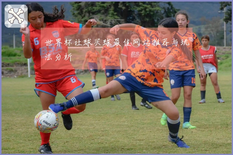 世界杯让球买球最佳网站推荐与玩法分析