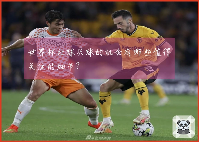 世界杯让球买球的机会有哪些值得关注的细节？