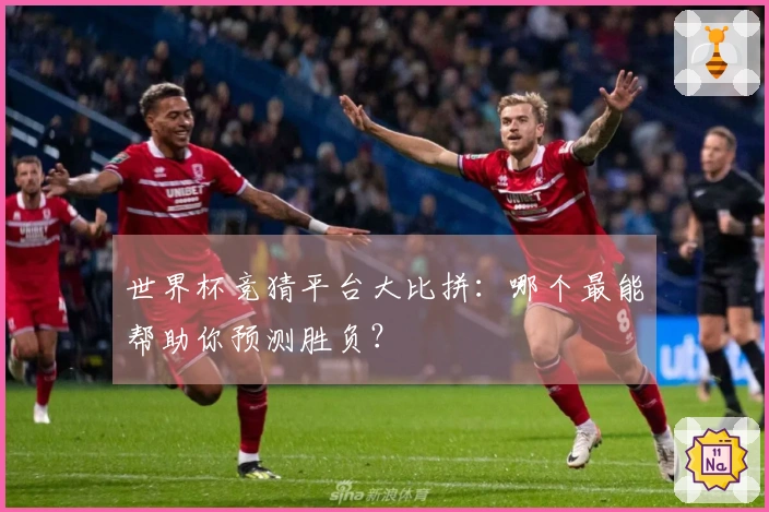 世界杯竞猜平台大比拼：哪个最能帮助你预测胜负？