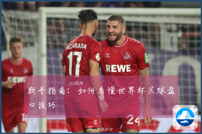 新手指南：如何看懂世界杯买球盘口技巧