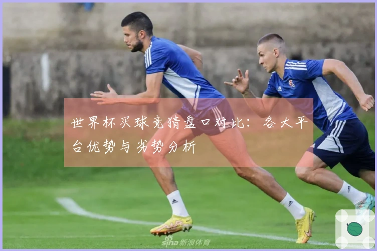 世界杯买球竞猜盘口对比：各大平台优势与劣势分析